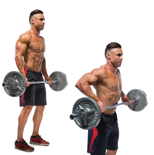 barbell-drag-curl