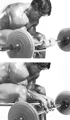 barbell_wrist_curls1