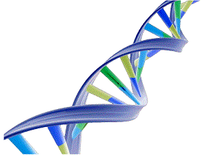 dna-double-helix-117366