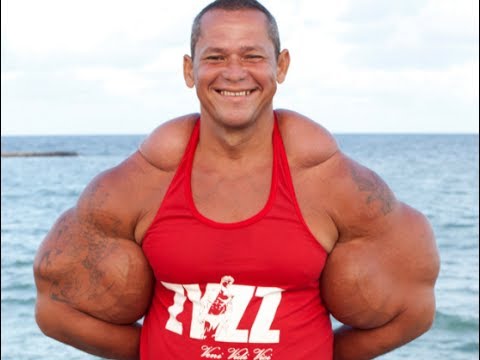 synthol1