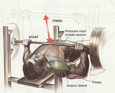 Chest-Workout-Tips (3)