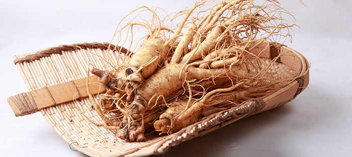 red ginseng