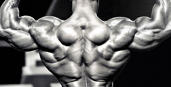 Building-a-Bodybuilder-Back