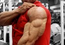 How to Get Big Triceps Fast