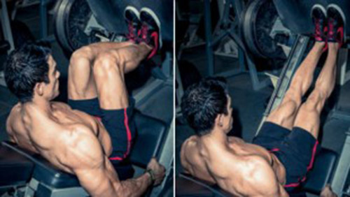 narrow-leg-press