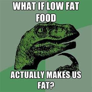 low-fat-makes-us-fat